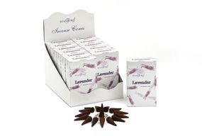 Cônes Stamford Premium - Lavande