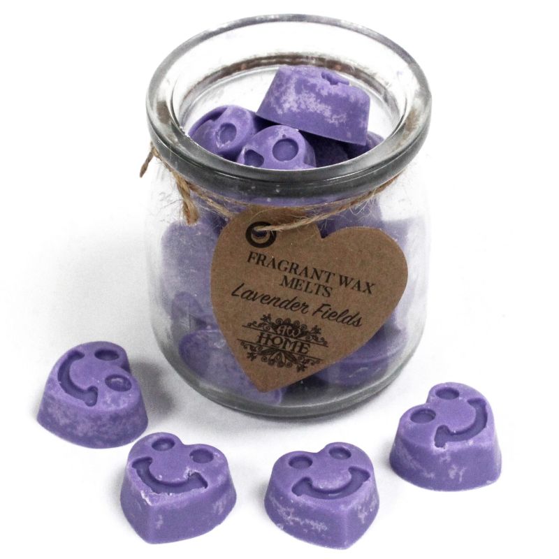 Bouteilles de cire de soja -Champs de lavande