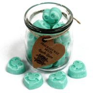 Bouteilles de cire de soja - Pomme