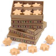 Boîte de 6 Fondants en Cire Soja - Jasmin de Minuit