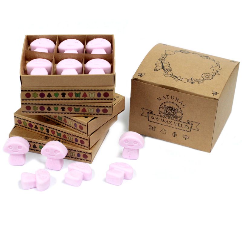 Boîte de 6 Fondants en Cire Soja - Ylang Ylang