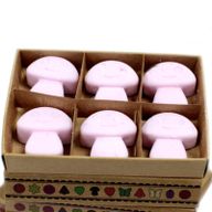 Boîte de 6 Fondants en Cire Soja - Ylang Ylang