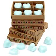 Boîte de 6 Fondants en Cire Soja - Nagchampa