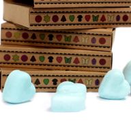 Boîte de 6 Fondants en Cire Soja - Nagchampa