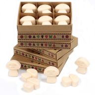 Boîte de 6 Fondants en Cire Soja - Vanille & Noix de muscade
