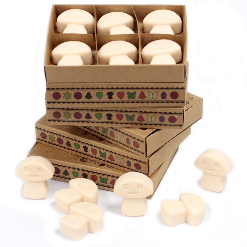 Boîte de 6 Fondants en Cire Soja - Vanille & Noix de muscade