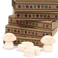Boîte de 6 Fondants en Cire Soja - Vanille & Noix de muscade