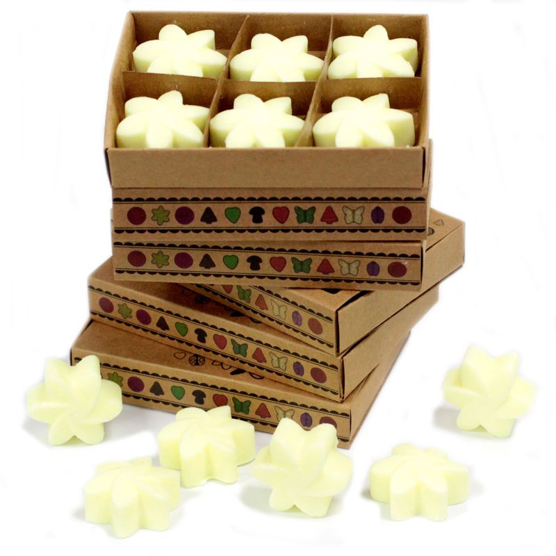 Boîte de 6 Fondants en Cire Soja - Récolte de citron
