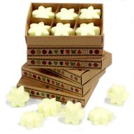Boîte de 6 Fondants en Cire Soja - Récolte de citron