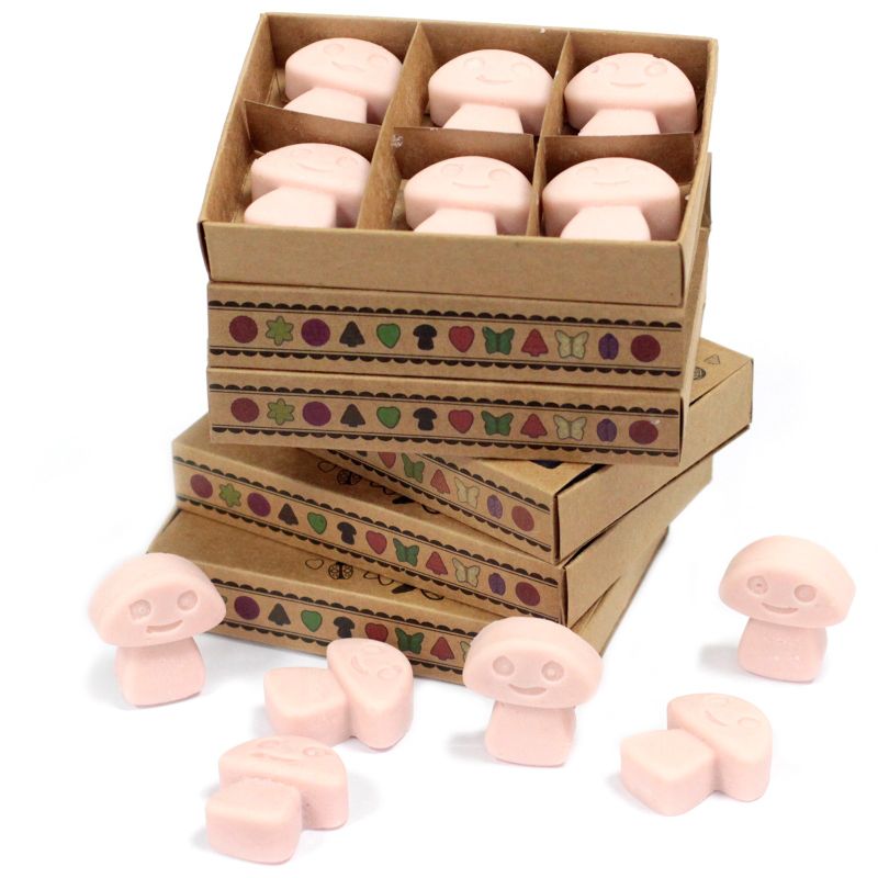 Boîte de 6 Fondants en Cire Soja -  Gingembre