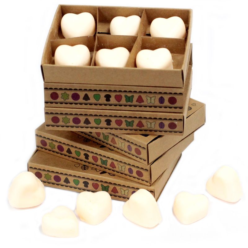 Boîte de 6 Fondants en Cire Soja -  Cannelle et Orange