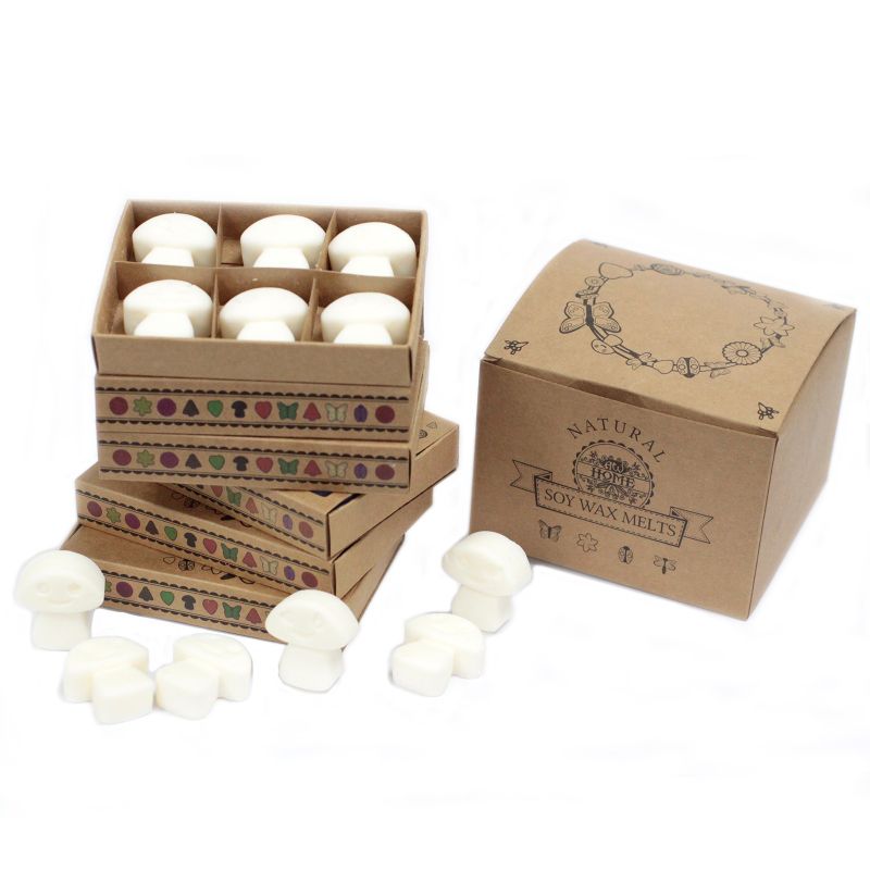 Boîte de 6 Fondants en Cire Soja - Musc Blanc