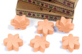 Boîte de 6 Fondants en Cire Soja  - Tubereuse