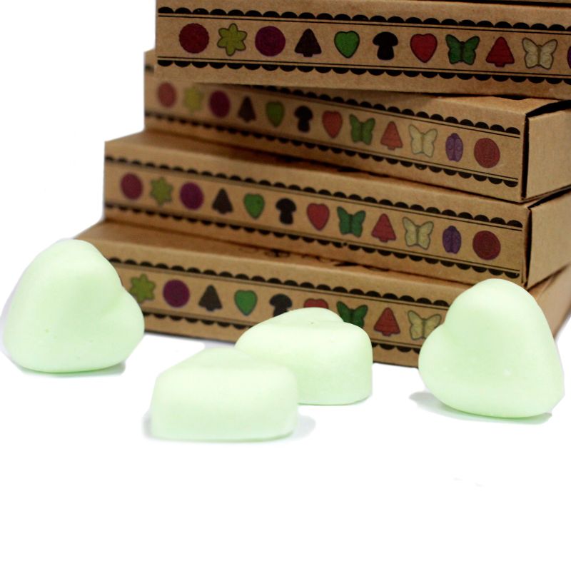 Boîte de 6 Fondants en Cire Soja -  Pastèque Fraîche