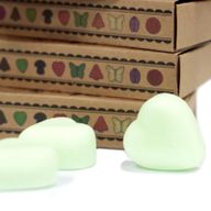Boîte de 6 Fondants en Cire Soja -  Pastèque Fraîche