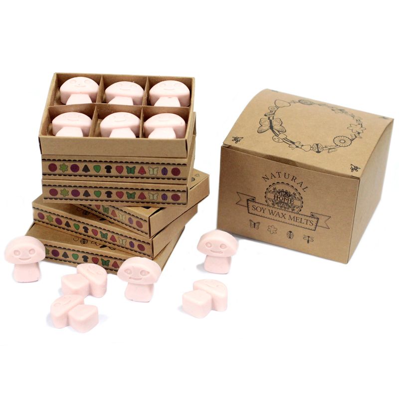 Boîte de 6 Fondants en Cire Soja -  Bois de Santal Foncé