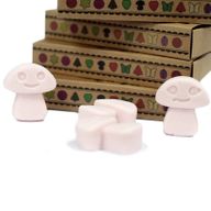 Boîte de 6 Fondants en Cire Soja -  Bois de Santal Foncé