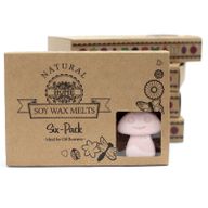 Boîte de 6 Fondants en Cire Soja -  Bois de Santal Foncé