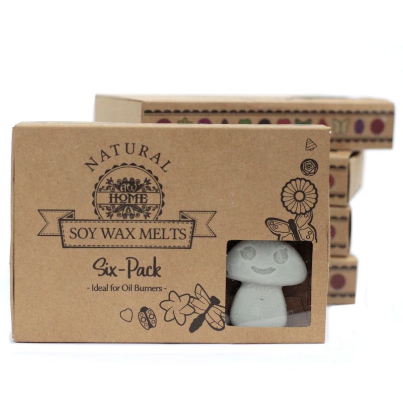 Boîte de 6 Fondants en Cire Soja - Patchouli Foncé
