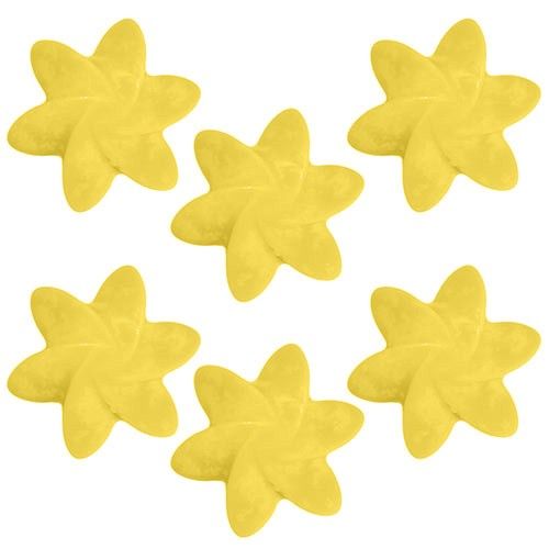 Fondants en Cire Naturelle - Mangue
