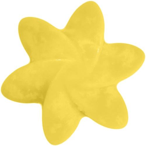 Fondants en Cire Naturelle - Mangue