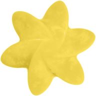 Fondants en Cire Naturelle - Mangue