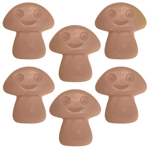 Fondants en Cire Naturelle -  Gingembre