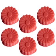 Fondants en Cire Naturelle - Fraîcheur Pastèque