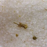 Mélange au Sel de l'Himalaya 500g - Ravivant Peau
