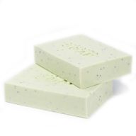 Savon Greenman 100g - Antiseptique Anti-piqûres