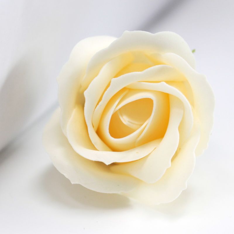 Roses de Savon  pour Bouquet- Medium/Ivoire