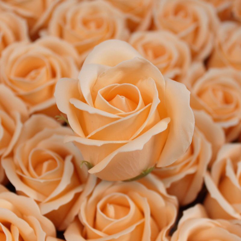 Roses de Savon  pour Bouquet -Medium/Pêche