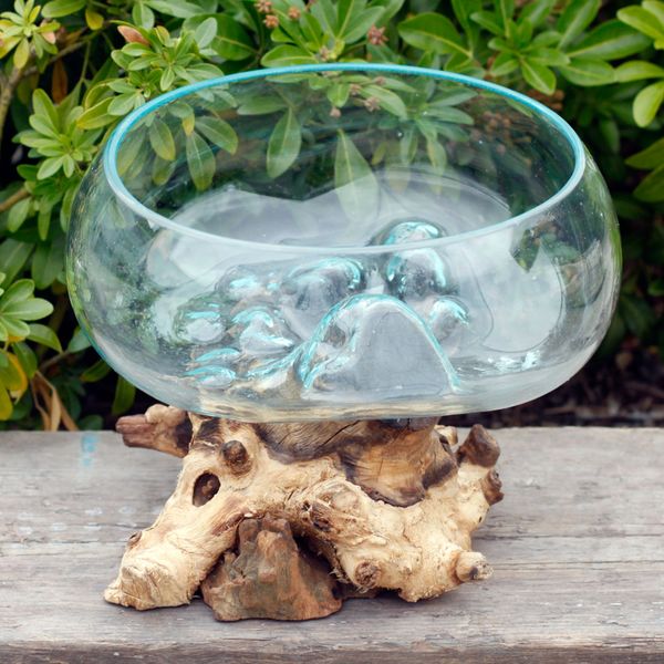 Vase en Verre Soufflé sur Racine - Grande Coupe