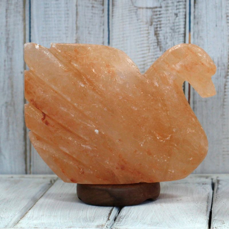 Lampe de Sel Sculptée - Cigne 7,5x12,5x17,5cm