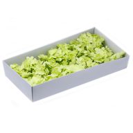 Fleurs de Savon pour Bouquet - Jacinthe Vert clair