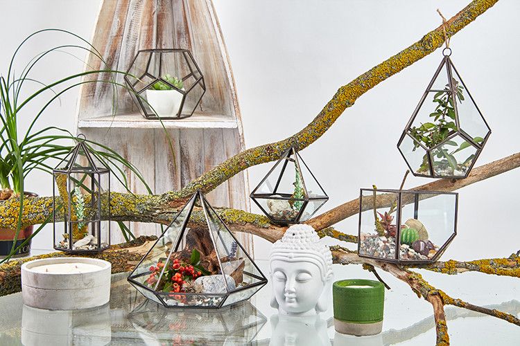 Terrarium en Verre  - Cube en Coin