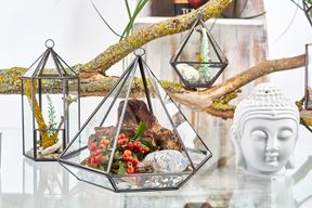 Terrarium en Verre  - Grand Losange