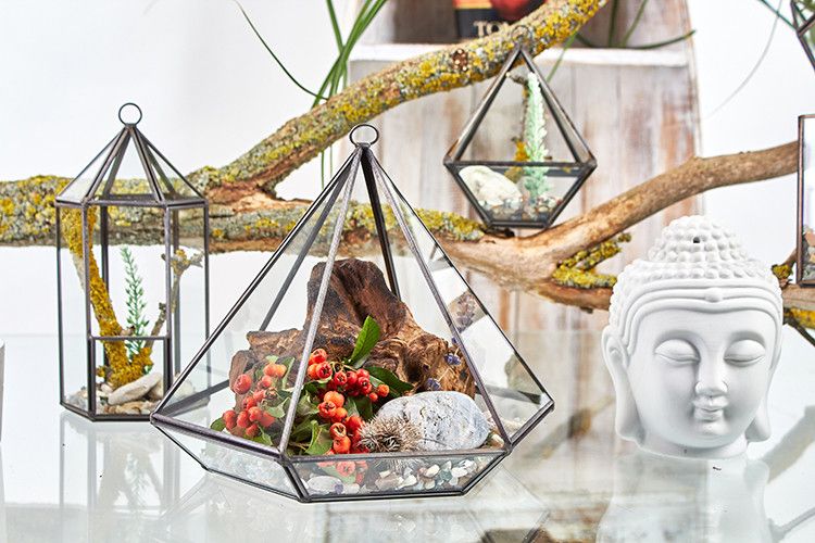 Terrarium en Verre  - Grand Losange