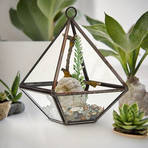 Terrarium en Verre - Petit Losange