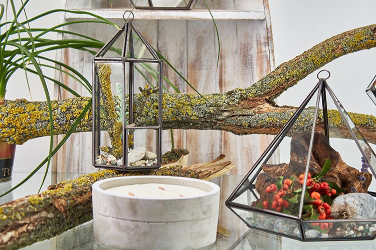 Terrarium en Verre  - Grand Octogone
