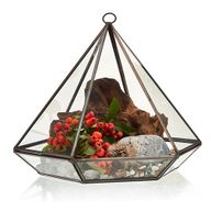 Terrarium en Verre  - Grand Losange