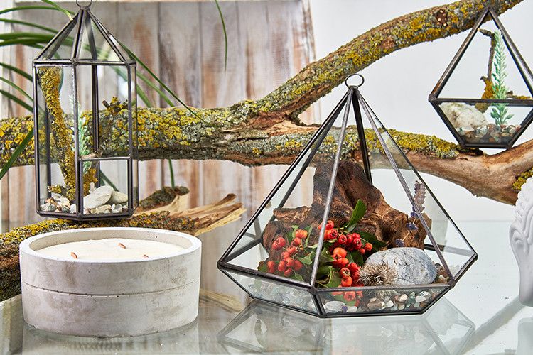 Terrarium en Verre  - Grand Losange