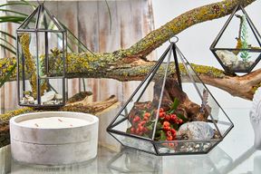Terrarium en Verre  - Grand Losange