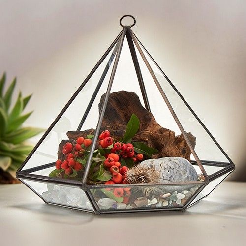 Terrarium en Verre  - Grand Losange