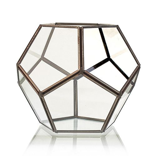 Terrarium en Verre  - Grand Octogone