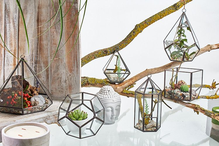 Terrarium en Verre  - Cube en Coin