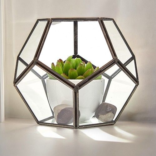 Terrarium en Verre  - Grand Octogone