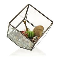 Terrarium en Verre  - Cube en Coin