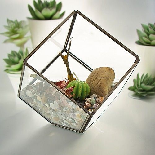 Terrarium en Verre  - Cube en Coin