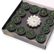 Boite de 12 Coupelles Résine - Sauge Blanche